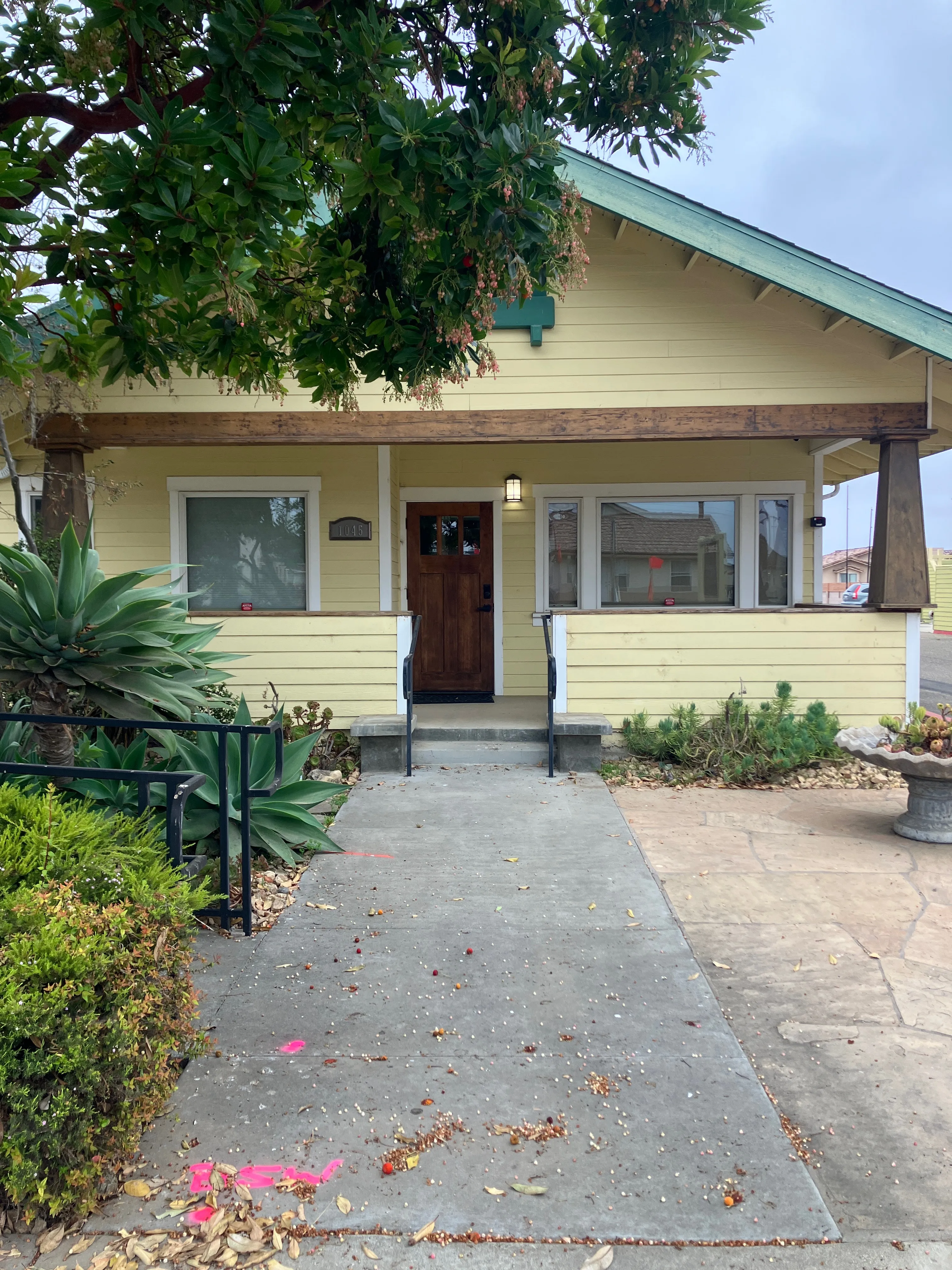 The Yellow House Arts Academy
